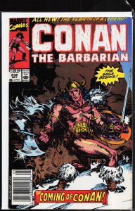 Conan the Barbarian #232 (1990) Conan