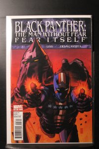 Black Panther: The Man Without Fear #523 (2011)