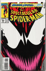 The Spectacular Spider-Man #203 (1993) Spider-Man