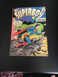 Superboy #116 (1964) King of the Wolfpack! Mid grade! VG/FN  Wow!