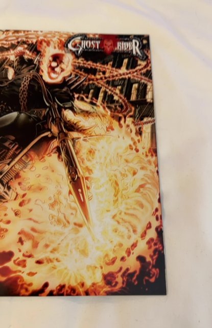 Ghost Rider #1 Arturo Lozzi Incentive Variant Cover (2011) NM