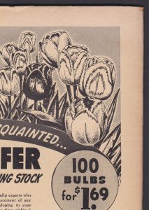 TerryToons Comics #72 6.0 FN Timely - Feb 1949 