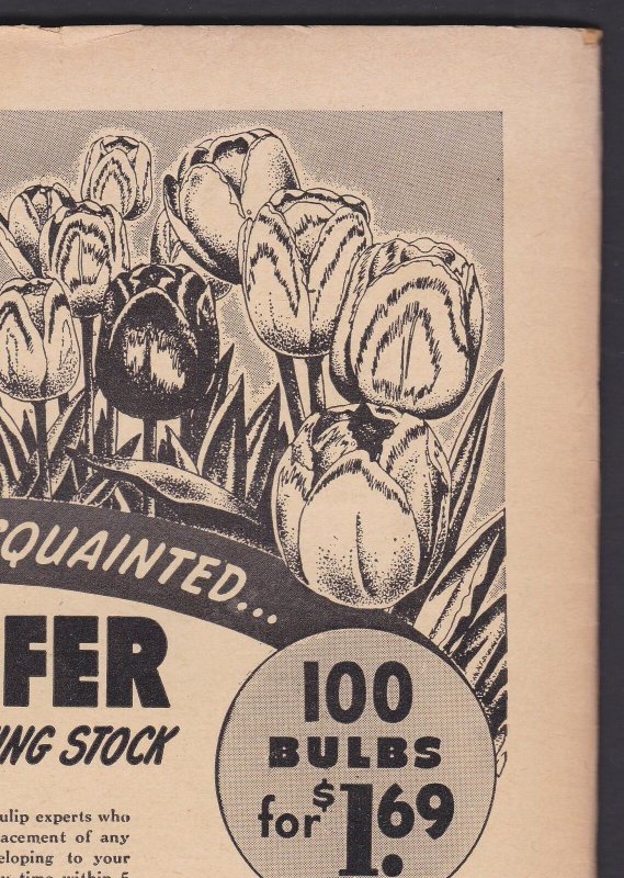 TerryToons Comics #72 6.0 FN Timely - Feb 1949 