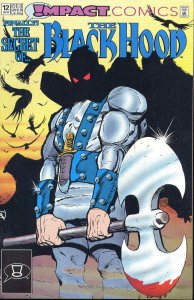 Black Hood 12 VG Impact | low grade comic - we combine shipping