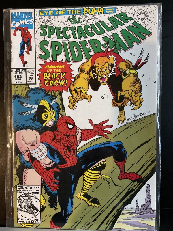 The Spectacular Spider-Man #192 (1992)