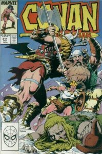 Conan the Barbarian (1970 series)  #211, NM (Stock photo)