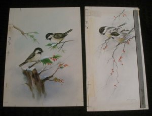CHRISTMAS B&W Birds on Branch Holly Berries 2pcs 6x8 Greeting Card Art #1513/16
