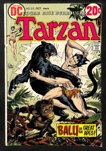Tarzan #213 (1972)
