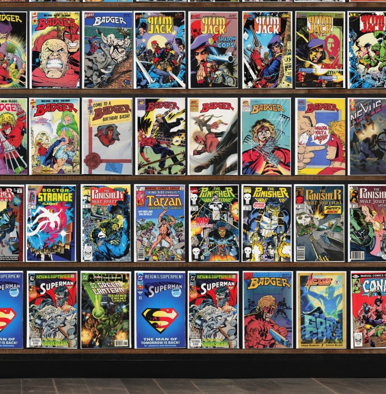 Huge Lot 170+ Comics with Badger, Grimjack, Star Trek, Nexus & More!