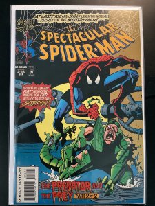 The Spectacular Spider-Man #216 Direct Edition (1994)