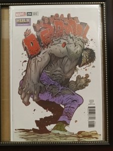 DESPICABLE DEADPOOL 294 INCREDIBLE HULK VARIANT NM  Nw167