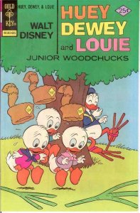 HUEY DEWEY & LOUIE (1966-1984 GK) 38 VF-NM   May 1976 COMICS BOOK