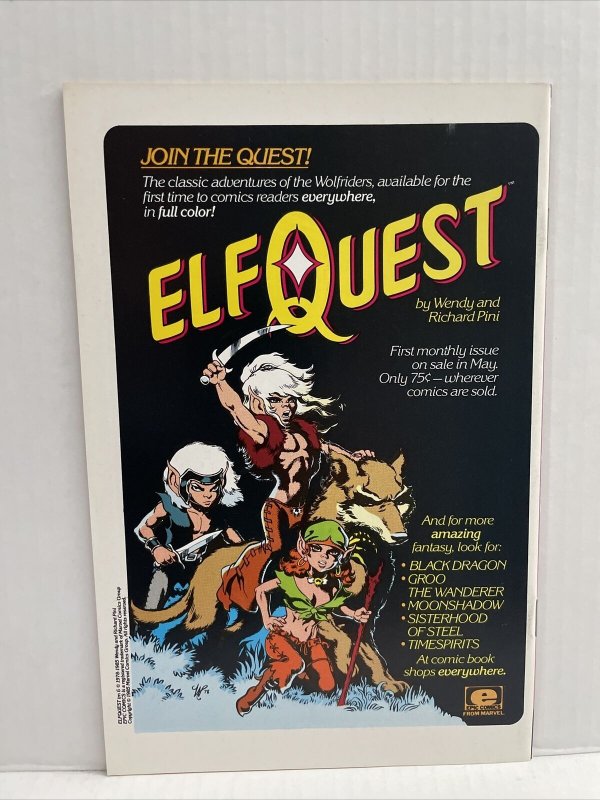 Swords Of The Swashbucklers #2