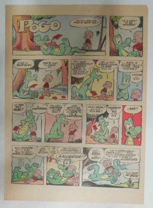 Pogo Sunday Page by Walt Kelly from 10/27/1957 Tabloid Size: 11 x 15 inches