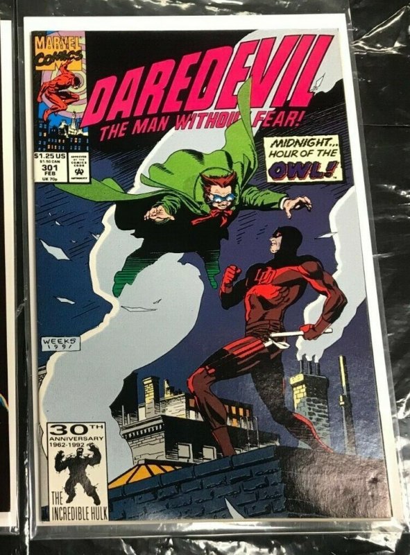 DAREDEVIL #293+301 2PC LOT (VF) A BULLET FOR PUNISHER!! 1991-92