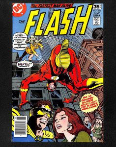 Flash #262
