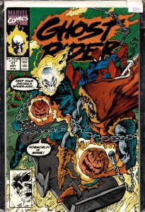 Ghost Rider #17 (1991) Ghost Rider