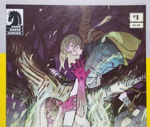 HARROW COUNTY #1 First Printing 2015 Heroes Con Variant NM