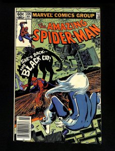 Amazing Spider-Man #226 Newsstand Variant Black Cat!
