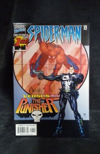 Spider-Man vs Punisher (2000)