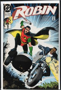 Robin #3 (1991)