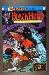 The Black Hood #1 (1991)