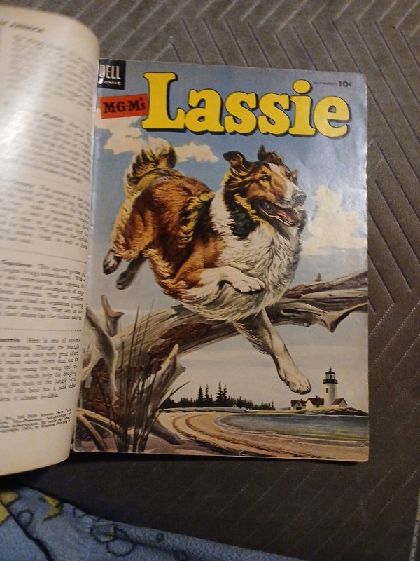 Lassie 17 And 22 Golden Age Dell Comics 1955 Lot Run Set Collection