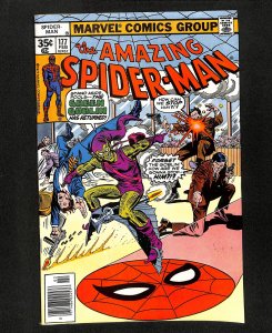 Amazing Spider-Man #177 Green Goblin!