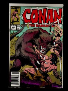 Conan the Barbarian #221,222,223,224,225,226,227,228,229,230 (1989)