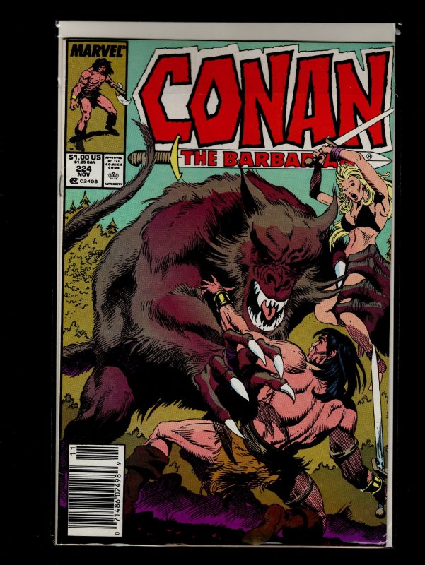 Conan the Barbarian #221,222,223,224,225,226,227,228,229,230 (1989)