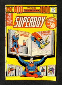 DC 100-Page Super Spectacular #21