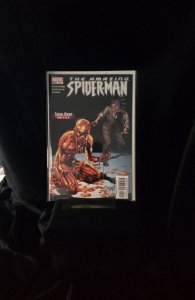 The Amazing Spider-Man #516 (2005)  