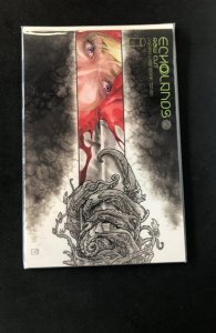 Echolands #2 Raw Cut Cover (2021)