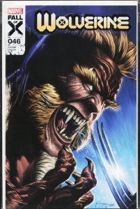Wolverine #46 Suayan Cover (2024) Wolverine
