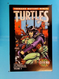 Teenage Mutant Ninja Turtles Color Classics #10 (2015)