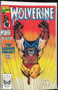 Wolverine #27 (1990) Wolverine