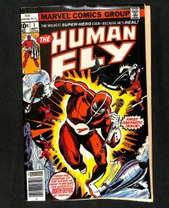 Human Fly #1