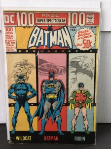 DC 100-Page Super Spectacular #14 (1973)