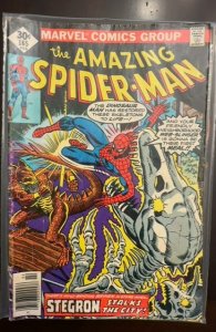The Amazing Spider-Man #165 (1977) Spider-Man 