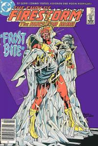 Fury of Firestorm, The #20 FN ; DC | Gerry Conway Killer Frost