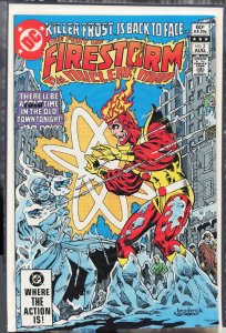 The Fury of Firestorm #3 (1982) Firestorm