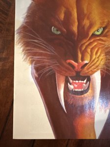 Black Cat #2 (Alex Ross) 2025