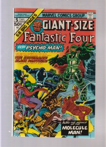 Giant Size Fantastic Four #5 - Divide And Conquer! (8.0) 1975 COA