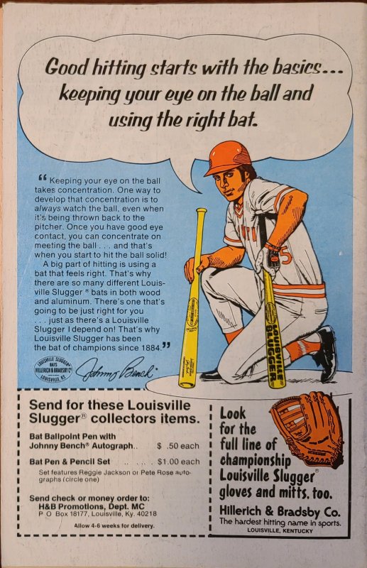 The Spectacular Spider-Man #19 (1978)