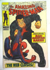Amazing Spider-Man (1963 series)  #73, Fine (Actual scan)