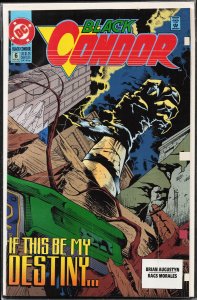 Black Condor #6 (1992) Black Condor