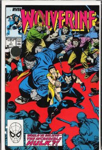 Wolverine #7 (1989) Wolverine