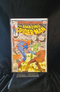 The Amazing Spider-Man #192 (1979) Spider-Man 