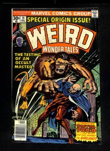 Weird Wonder Tales #19