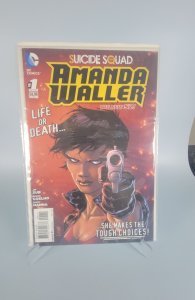Suicide Squad: Amanda Waller (2014)